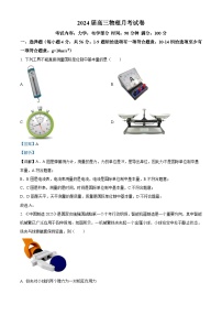 2024石河子一中高三上学期11月月考试题物理含解析