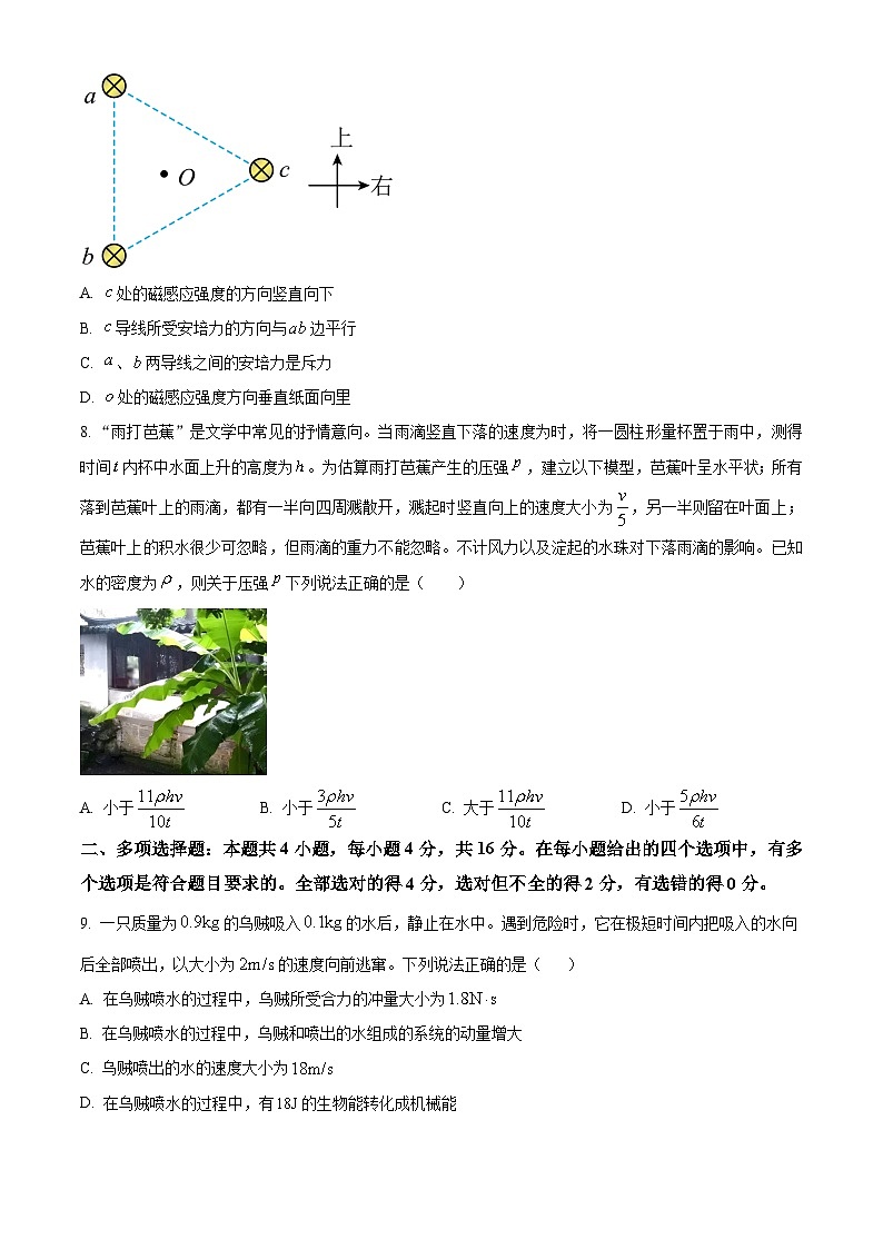 2024青岛莱西高二上学期11月期中考试物理含解析第3页