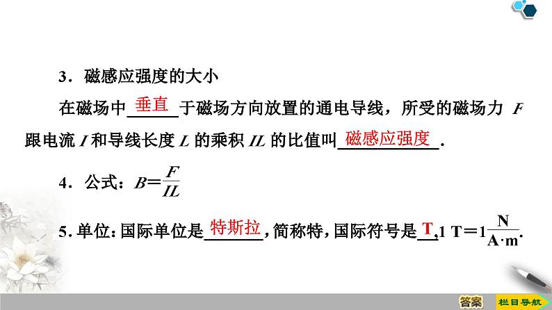 高中必修第三册物理《2 磁感应强度 磁通量》ppt课件-统编人教版第8页