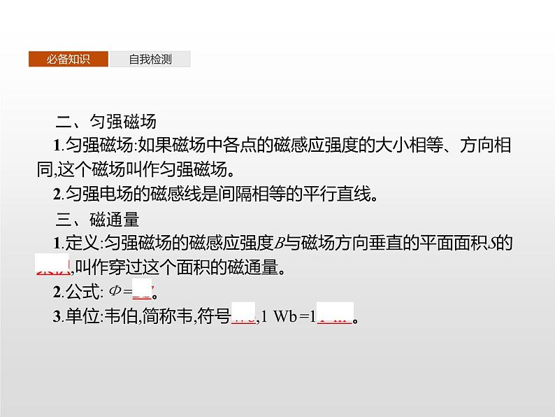 高中物理必修第三册《2 磁感应强度 磁通量》PPT课件2-统编人教版第4页