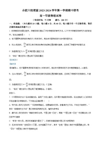 安徽省合肥市六校联盟2023-2024学年高一上学期11月期中联考物理试题（Word版附解析）