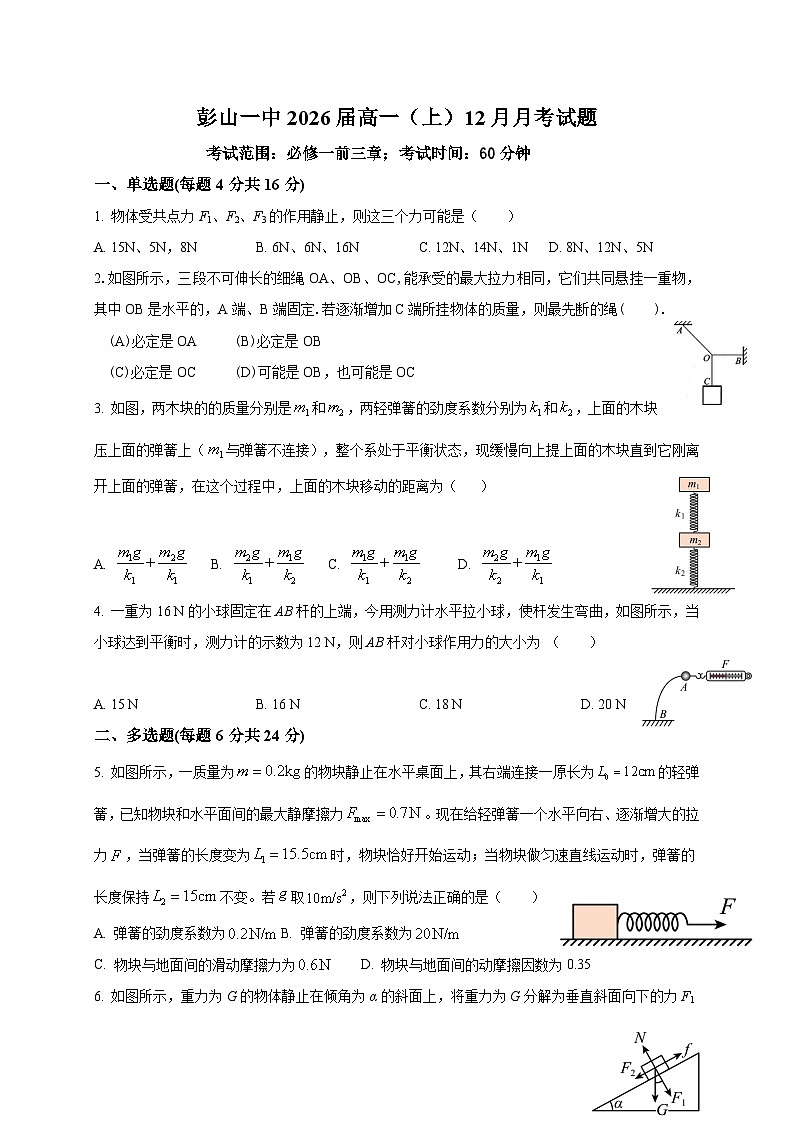四川省眉山市彭山区第一中学2023-2024学年高一上学期12月月考物理试题01