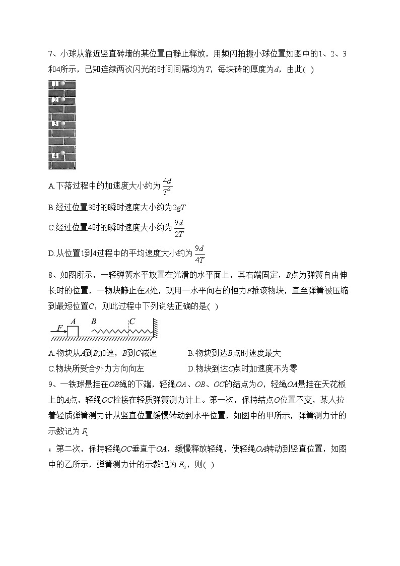 江苏省镇江市镇江中学2023-2024学年高一上学期11月期中考试物理试卷(含答案)03