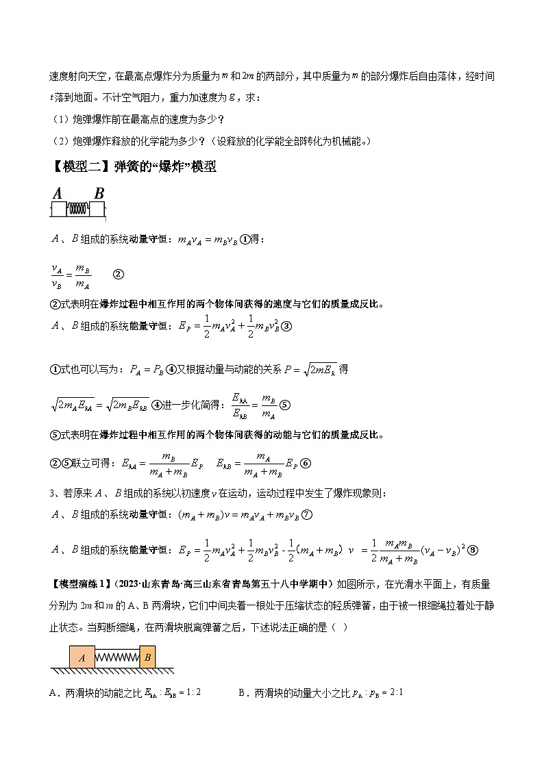 专题11 爆炸与类爆炸模型（原卷版）第3页