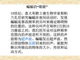 高中物理选修第一册《3 波的反射、折射和衍射》PPT课件1-统编人教版