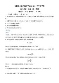 安徽省合肥卓越中学2023-2024学年高二上学期期中物理试卷（Word版附解析）