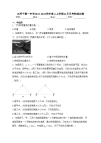 石河子第一中学2023-2024学年高二上学期11月月考物理试卷(含答案)