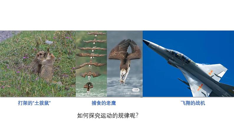 人教版 高中物理必修第一册第二章第1节《实验：探究小车随时间变化的规律》课件03