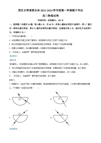 湖北省武汉市常青联合体2023-2024学年高二上学期期中考试物理试题（Word版附解析）