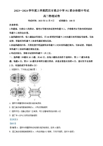 湖北省武汉市重点中学5G联合体2023-2024学年高二上学期期中联考物理试题（Word版附解析）