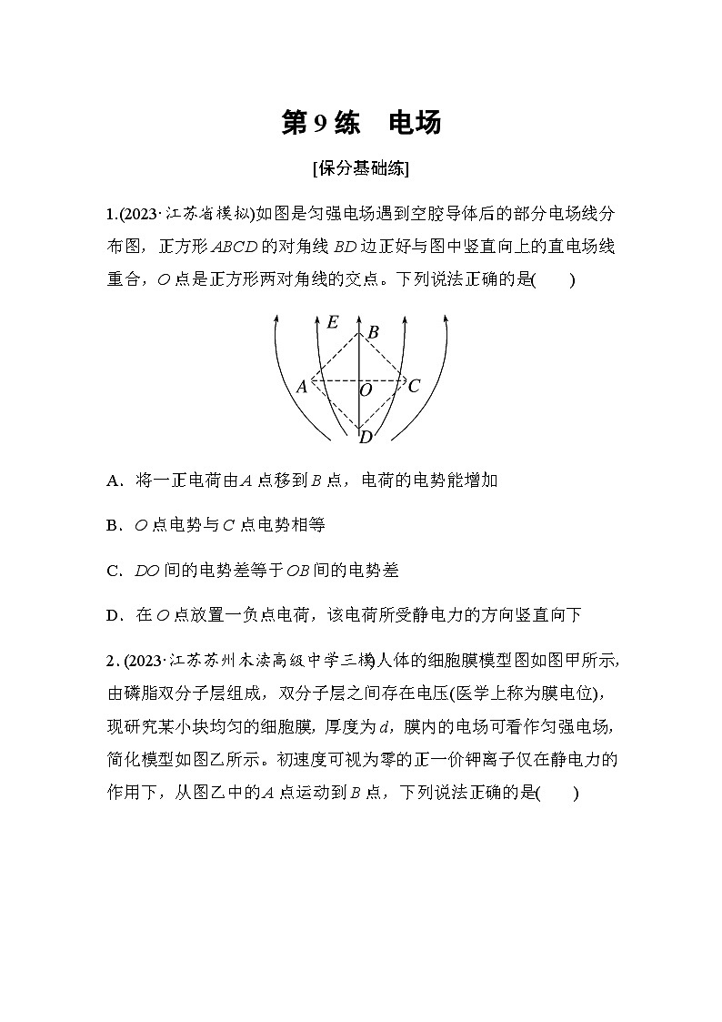 第9练　电场（含解析）--2024年高考物理大二轮复习第1页