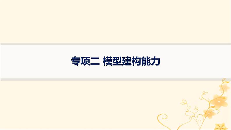 适用于新高考新教材2024版高考物理二轮复习第三编高考关键能力专项专项二模型建构能力课件01