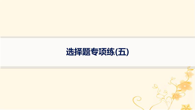 适用于新高考新教材2024版高考物理二轮复习题型专项练选择题专项练五课件01