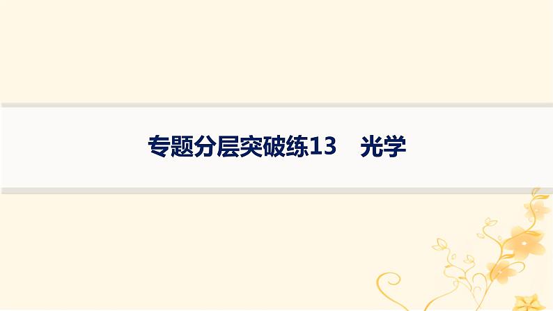 适用于新高考新教材2024版高考物理二轮复习专题分层突破练13光学课件第1页