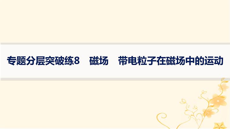 适用于新高考新教材2024版高考物理二轮复习专题分层突破练8磁场带电粒子在磁场中的运动课件第1页