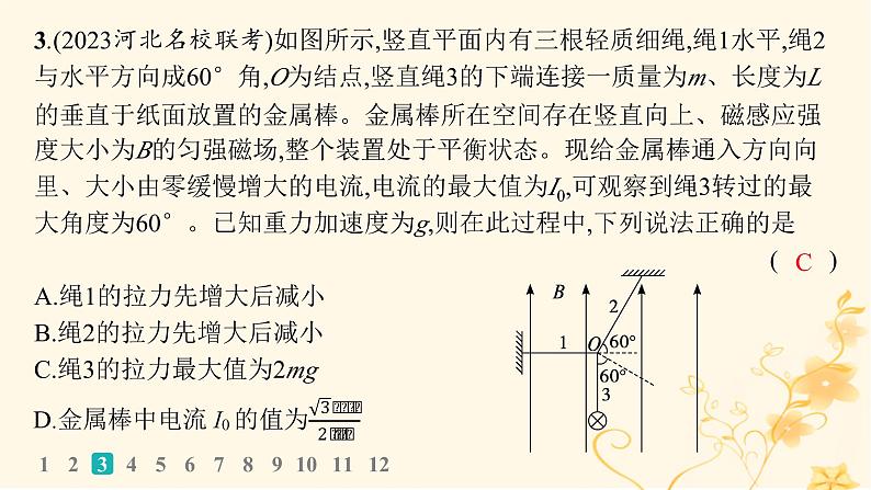 适用于新高考新教材2024版高考物理二轮复习专题分层突破练8磁场带电粒子在磁场中的运动课件第7页