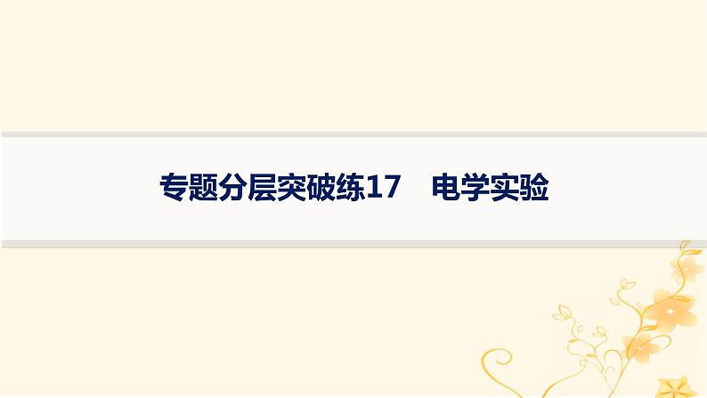 适用于新高考新教材2024版高考物理二轮复习专题分层突破练17电学实验课件第1页