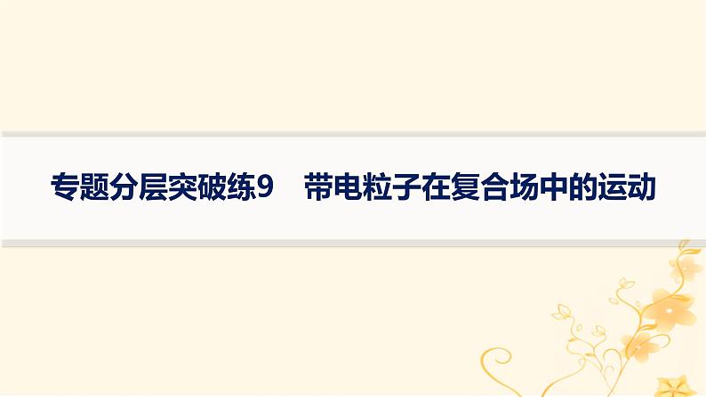 适用于新高考新教材2024版高考物理二轮复习专题分层突破练9带电粒子在复合场中的运动课件第1页