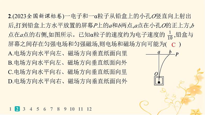 适用于新高考新教材2024版高考物理二轮复习专题分层突破练9带电粒子在复合场中的运动课件第4页