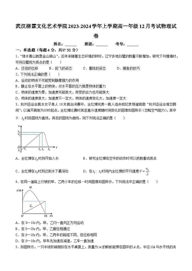 湖北省武汉市武汉榕霖文化艺术学院2023-2024学年高一上学期12月月考物理试卷01