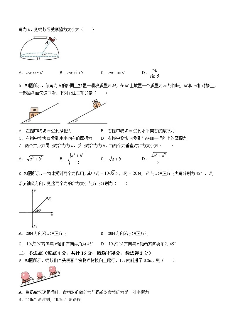湖北省武汉市武汉榕霖文化艺术学院2023-2024学年高一上学期12月月考物理试卷02