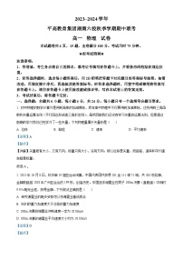 湖南省长沙市平高集团六校2023-2024学年高一上学期期中联考物理试卷（Word版附解析）