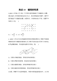 热点10　磁场的性质（含解析）--2024年高考物理大二轮复习热点情境突破练