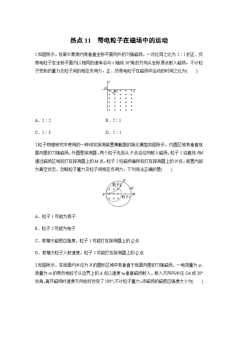 热点11　带电粒子在磁场中的运动（含解析）--2024年高考物理大二轮复习热点情境突破练01