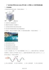 广东省部分学校2023-2024学年高三上学期12月联考物理试题（原卷版+解析版）