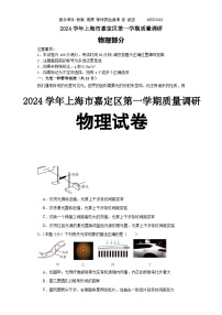 2024届上海市嘉定区高三上学期质量调研（一模）物理试题