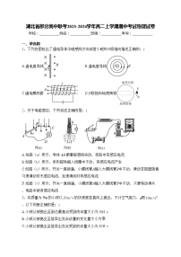 湖北省部分高中联考2023-2024学年高二上学期期中考试物理试卷(含答案)