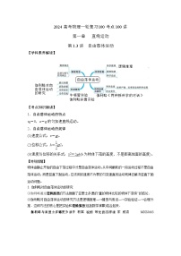 1.3自由落体运动（解析版）—2024高考物理一轮复习100考点100讲—高中物理