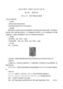 4.6探究平抛运动规律（解析版）--2024高考一轮复习100考点100讲—高中物理