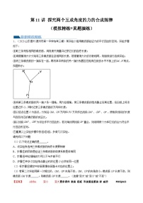 第11讲 探究两个互成角度的力的合成规律（练习）（解析版）—高中物理