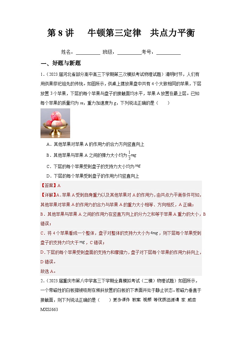 第8讲   牛顿第三定律  共点力平衡（练习）（解析版）——备战2024年高考物理一轮复习全面攻略—高中物理01