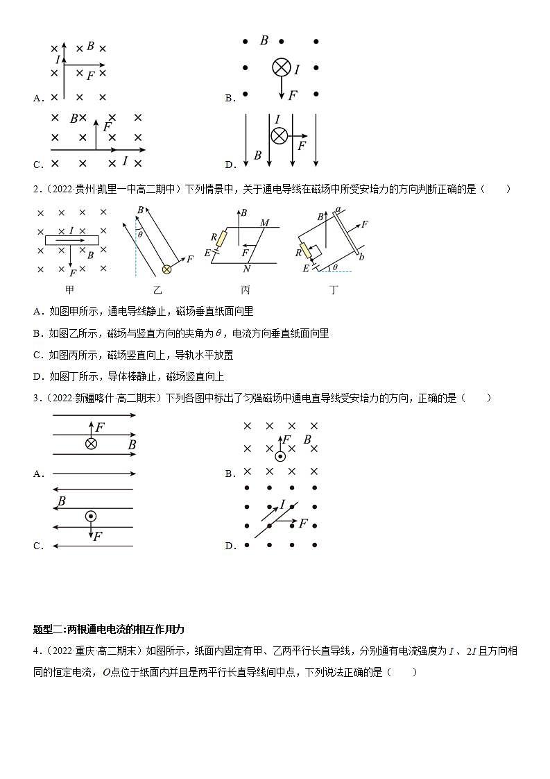 1.1 磁场对通电导线的作用力-2023-2024学年高二物理高分突破专题训练（人教版选择性必修第二册）02