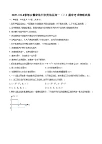 2023-2024学年安徽省池州市贵池区高一（上）期中考试物理试卷（含解析）