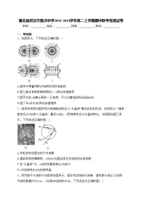 湖北省武汉市重点中学2023-2024学年高二上学期期中联考物理试卷(含答案)