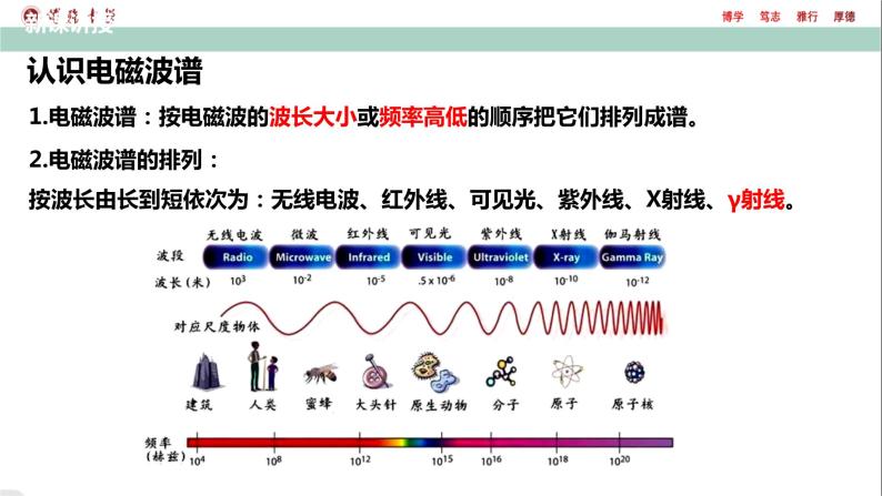 4.4电磁波谱课件高二下学期物理人教版（2019）选择性必修第二册02