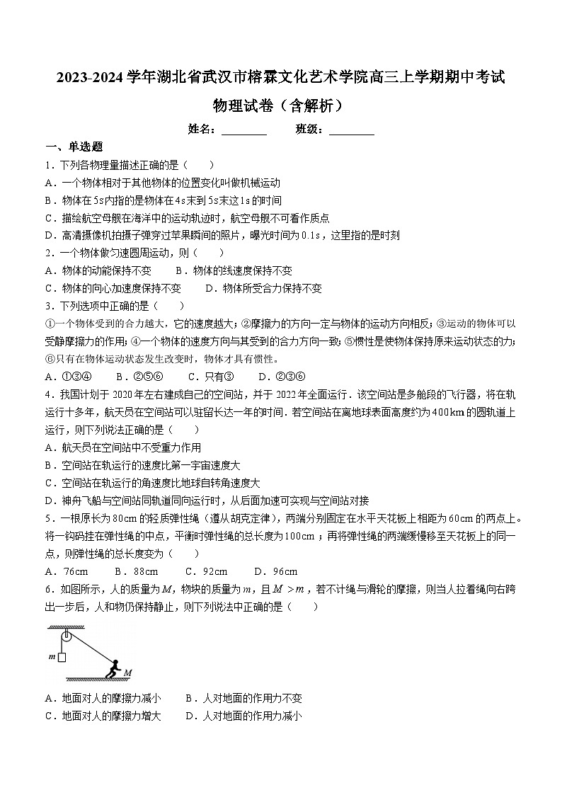 2023-2024学年湖北省武汉市榕霖文化艺术学院高三上学期期中考试 物理试卷（含解析）01