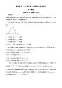 上海市东华大学附属奉贤致远中学2023-2024学年高一上学期期中考试物理（Word版附解析）