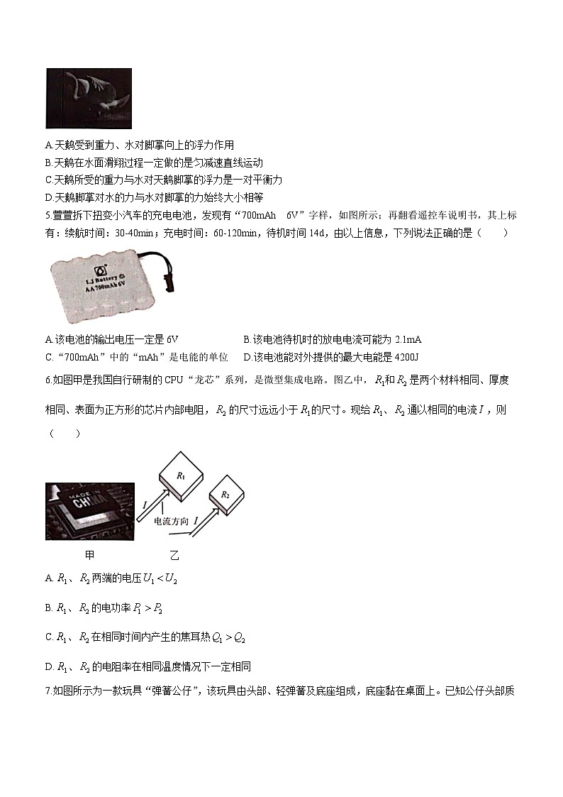 2024浙江省北斗星盟高二上学期12月阶段性联考试题物理含答案02