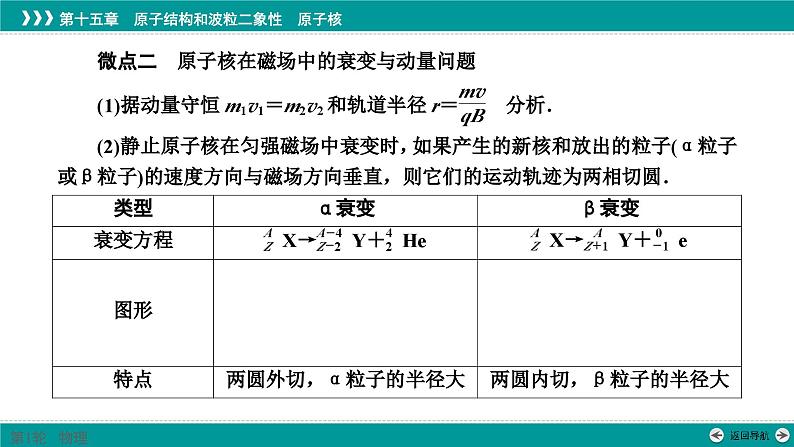 第十五章核反应中的动量问题课件-高考物理一轮复习第4页