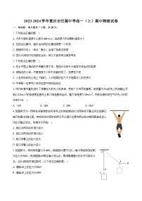 2023-2024学年重庆市巴蜀中学高一（上）期中物理试卷（含解析）