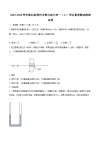 2023-2024学年湖北省荆州市重点高中高一（上）学生素养测试物理试卷（含解析）