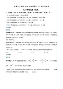 福建省漳州市云霄立人学校2023-2024学年高二上学期期中考试物理试卷（选考）（解析版）