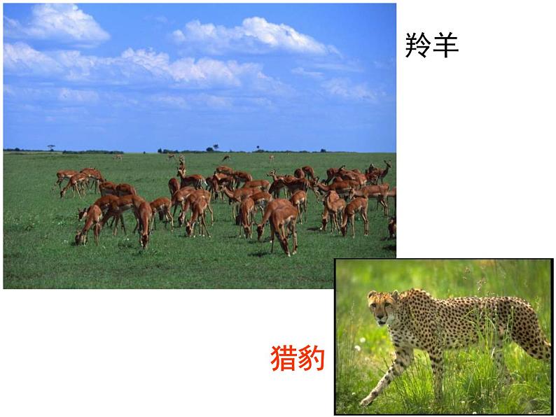 第一章　5　速度变化快慢的描述——加速度课件—2020秋人教版高中物理必修1第5页