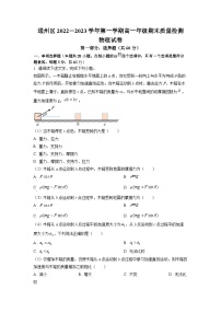 精品解析：北京市通州区2022-2023学年高一上学期期末质量检测物理试题（原卷版）