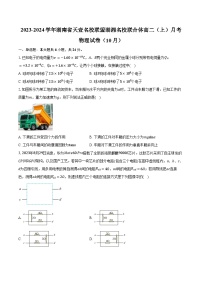 2023-2024学年湖南省天壹名校联盟湖湘名校联合体高二（上）月考物理试卷（10月）（含解析）