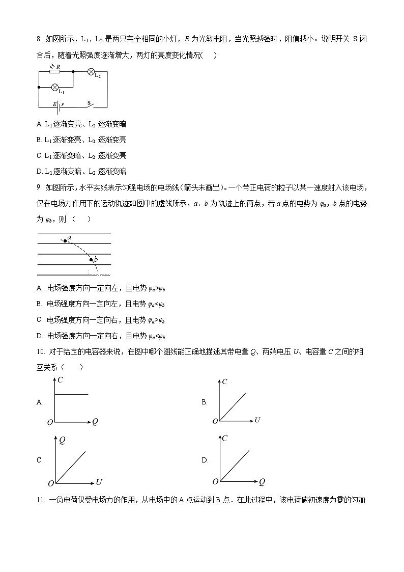2024上海市东华大学附属奉贤致远中学高二上学期期中考试物理含解析03